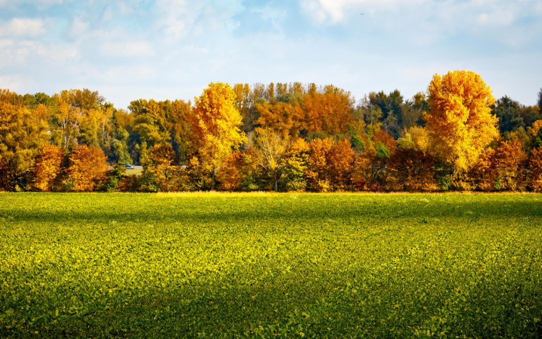 Février : une tendance qui se confirme du nord au sud