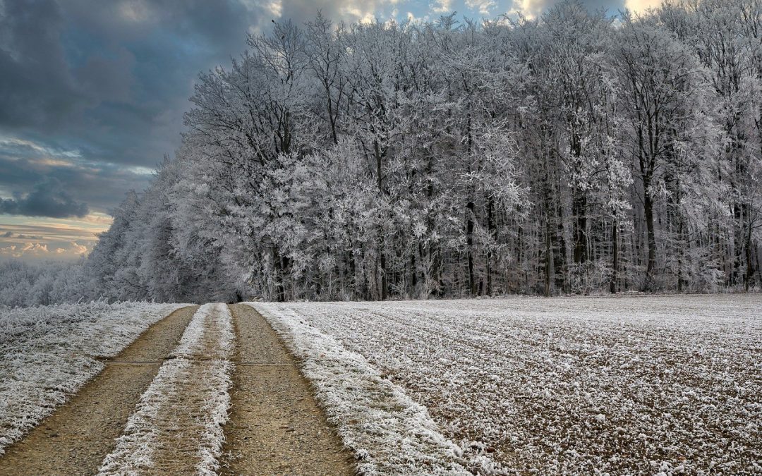 Un mois de décembre froid et sec suite à un mois de novembre doux et humide