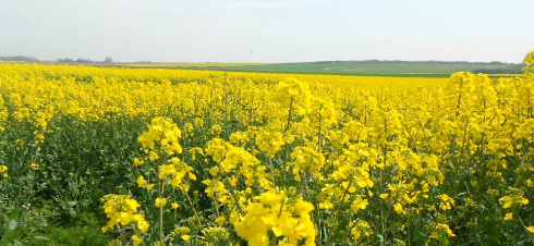 Nos dossiers de l’été