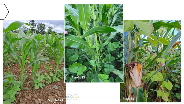 Bilan des travaux du groupe agronomique (GIEE)