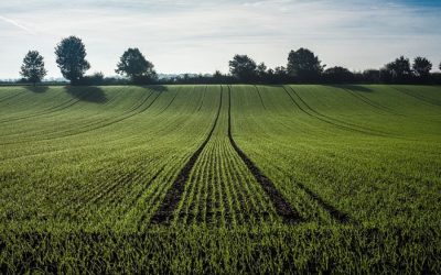 Point météo sur la fin 2022 – début 2023 et analyse depuis le début de campagne culturale