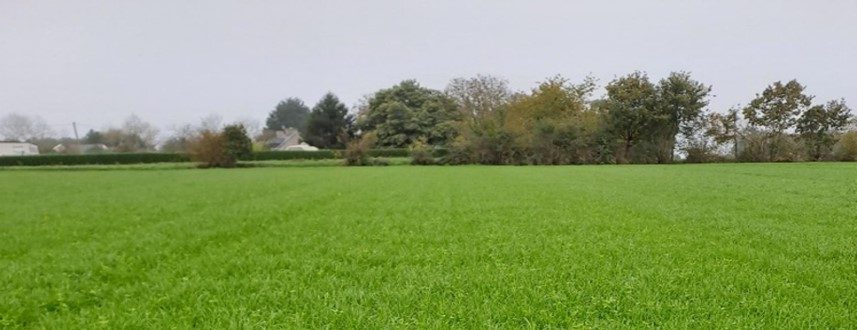 Couverts et dérobés, vers de nouvelles opportunités !