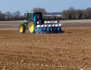 Les semis de printemps